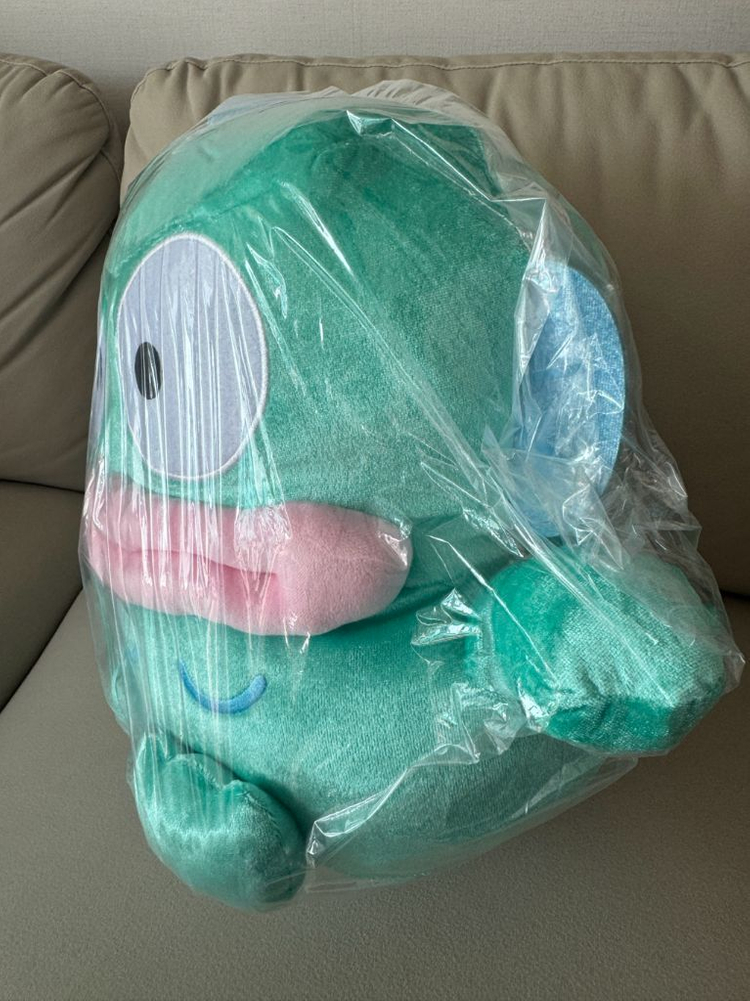 한교동 중형 인형 미개봉 택포 이미지