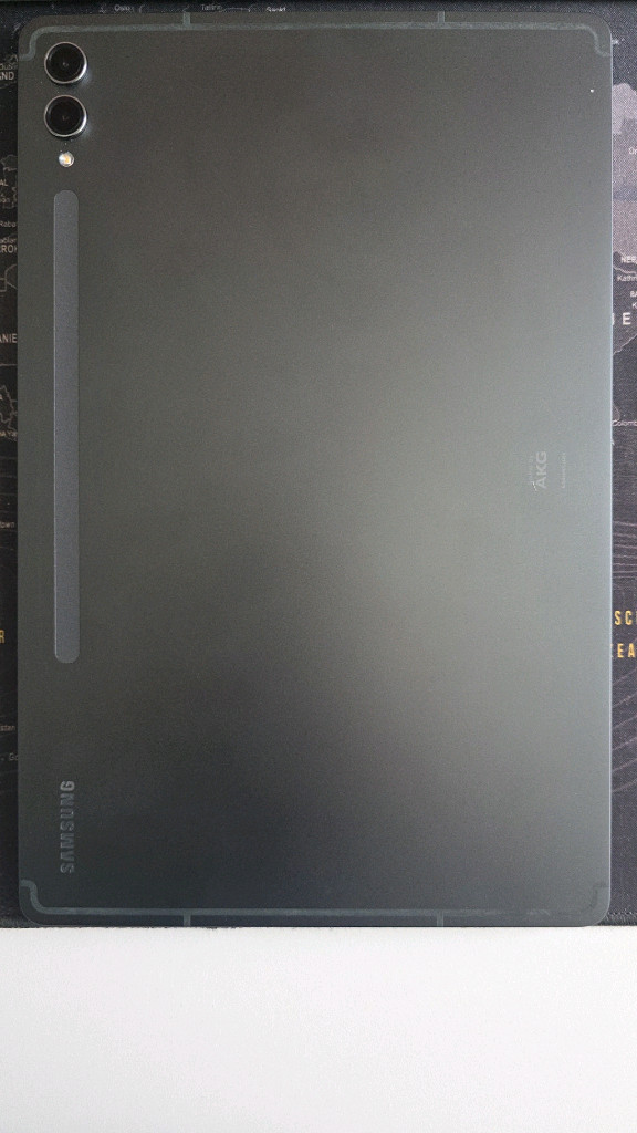 삼성 갤럭시탭 S9+ wifi 256gb 이미지