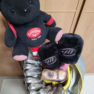 젝시오 여성용 골프채 풀세트 이미지