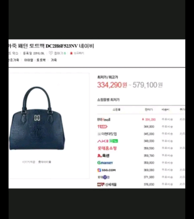 여성 닥스 악어 가죽 패턴 토트백 이미지