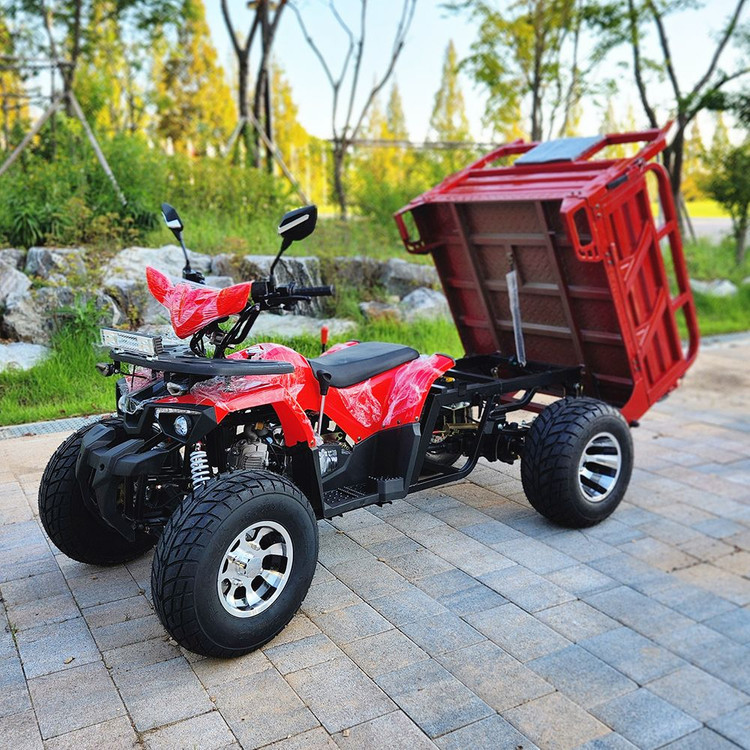 ATV 파밍 125cc 화물용 사륜바이크 이미지