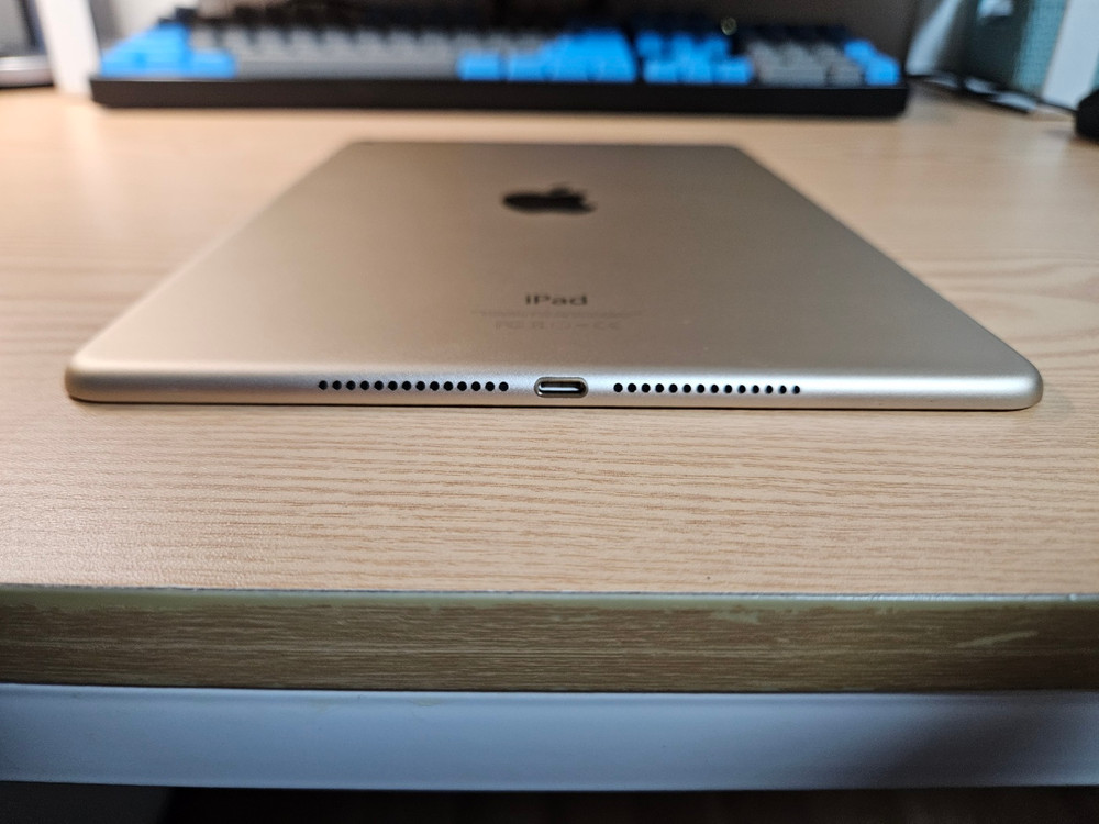 아이패드 에어 2세대 Wi-Fi 16GB 골드 이미지