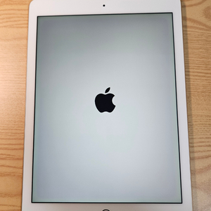 아이패드 에어 2세대 Wi-Fi 16GB 골드 이미지