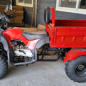 200cc 농업용 화물 atv 중고 판매합니다. 이미지