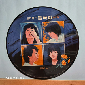 트리뷰트 들국화 Part.2 픽쳐디스크 미사용반 LP 이미지