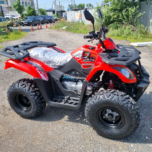 듬직한사이즈 카요ATV 불200 할인판매 이미지