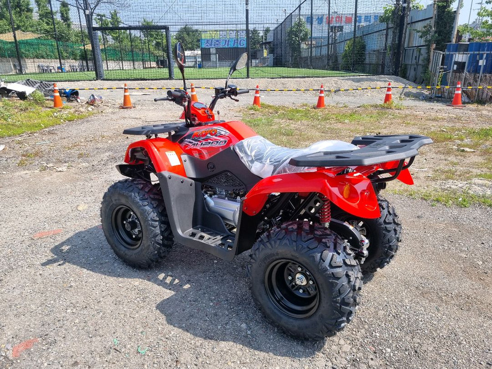 듬직한사이즈 카요ATV 불200 할인판매 이미지