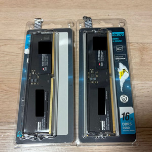 에센코어 DDR5 32GB ( 16GB x2) 5600MHz 하이닉스 A다이 램 이미지