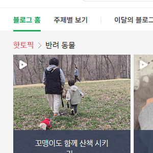 블로그 준최 구입합니다. 카페 최적화 이미지