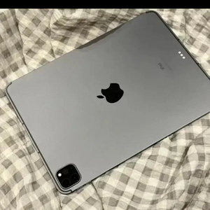 셀룰러 아이패드 프로 3세대 m1 11인치 이미지