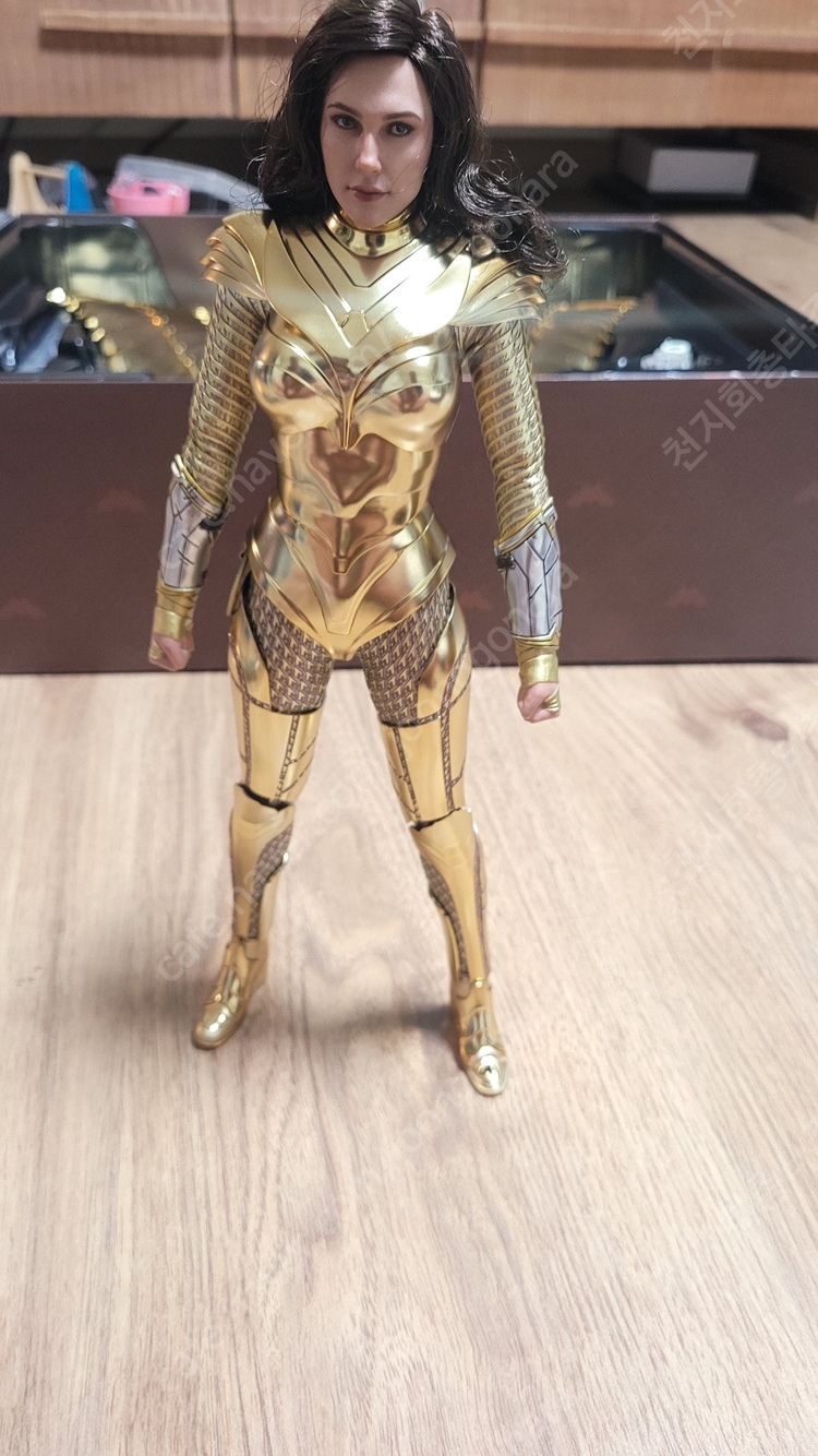 사이버 포뮬러, 원더우먼 골든아머 디럭스 외 판매합니다. 이미지