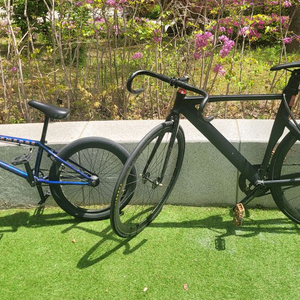 BMX/픽시자전거 이미지