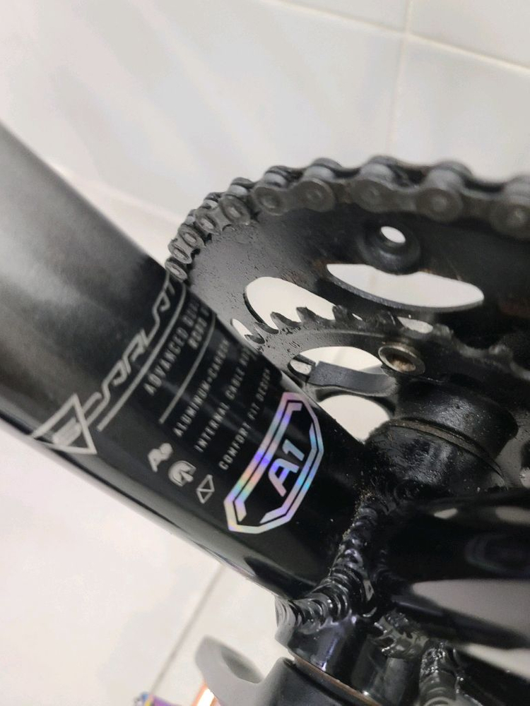 2021년형.첼로스칼라티A1로드(25만원) 이미지