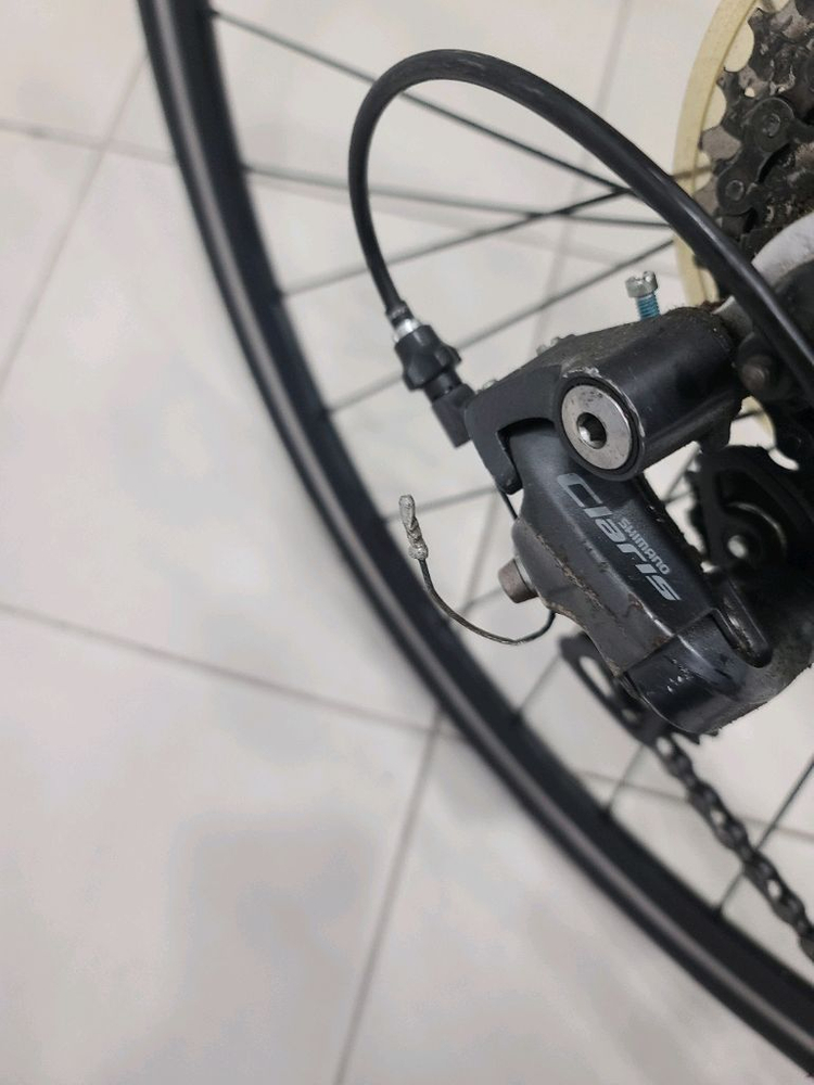 2021년형.첼로스칼라티A1로드(25만원) 이미지