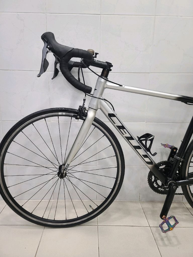 2021년형.첼로스칼라티A1로드(25만원) 이미지