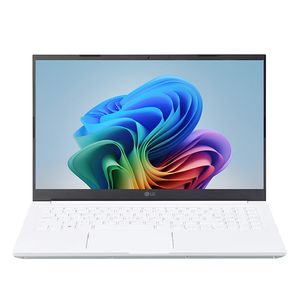 [중고] LG전자 울트라 PC 13U70P (라이젠3-4300U/8G/S256G/윈10) 이미지