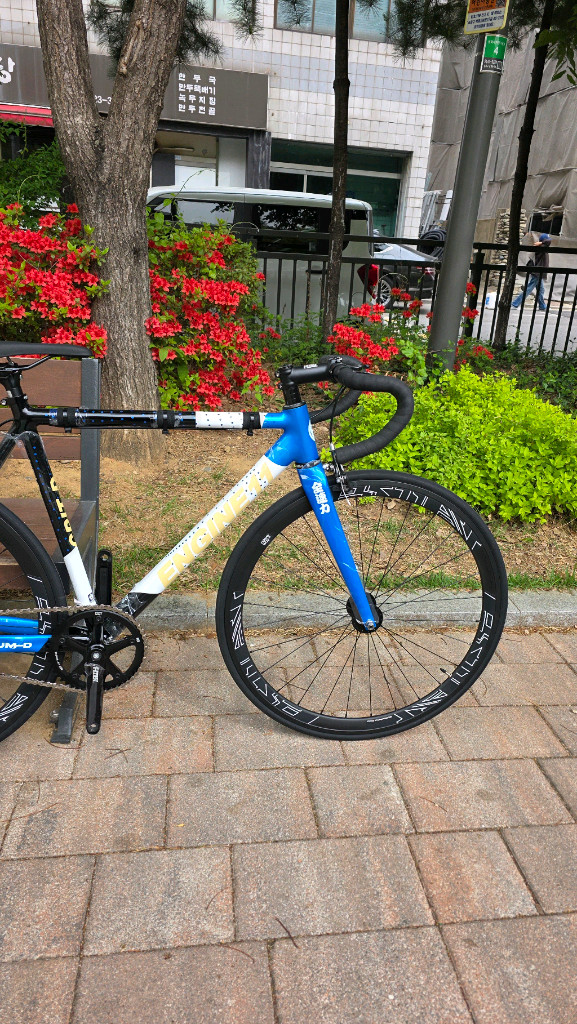 엔진11 크릿디 블루스킨 색상 판매합니다 이미지