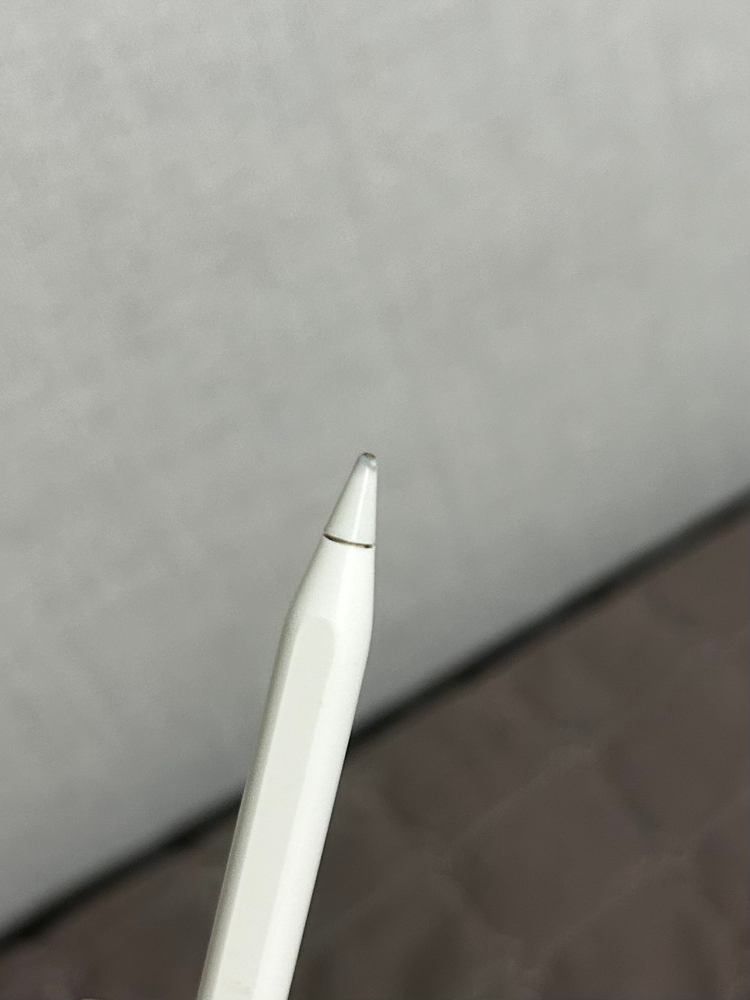 아이패드프로2세대11 256GB 펜슬2세대 일괄 이미지