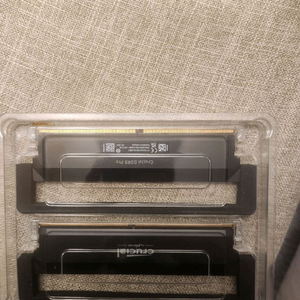 Crucial DDR5 PRO 32GB (16Gx2) 데스크탑 램 이미지