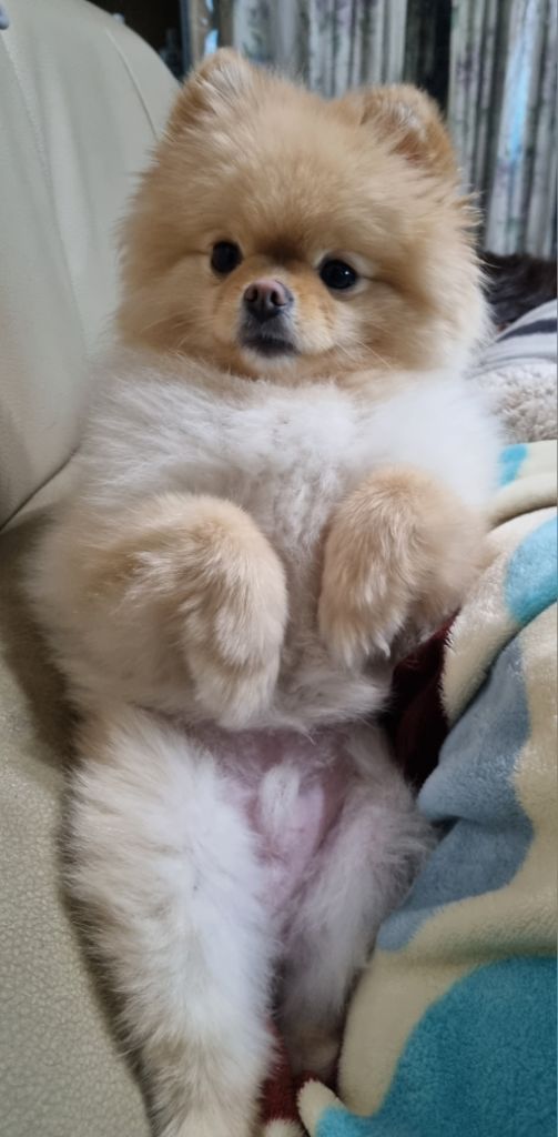프로필 이미지