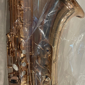 야나기사와 테너 색소폰 T-9937 PGP 이미지