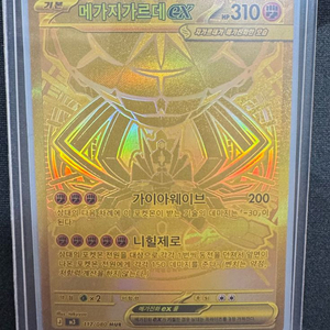 [포켓몬 카드]메가지가르데mur 이미지