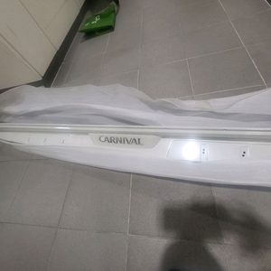 카니발R숏바디 사이드스텝 이미지