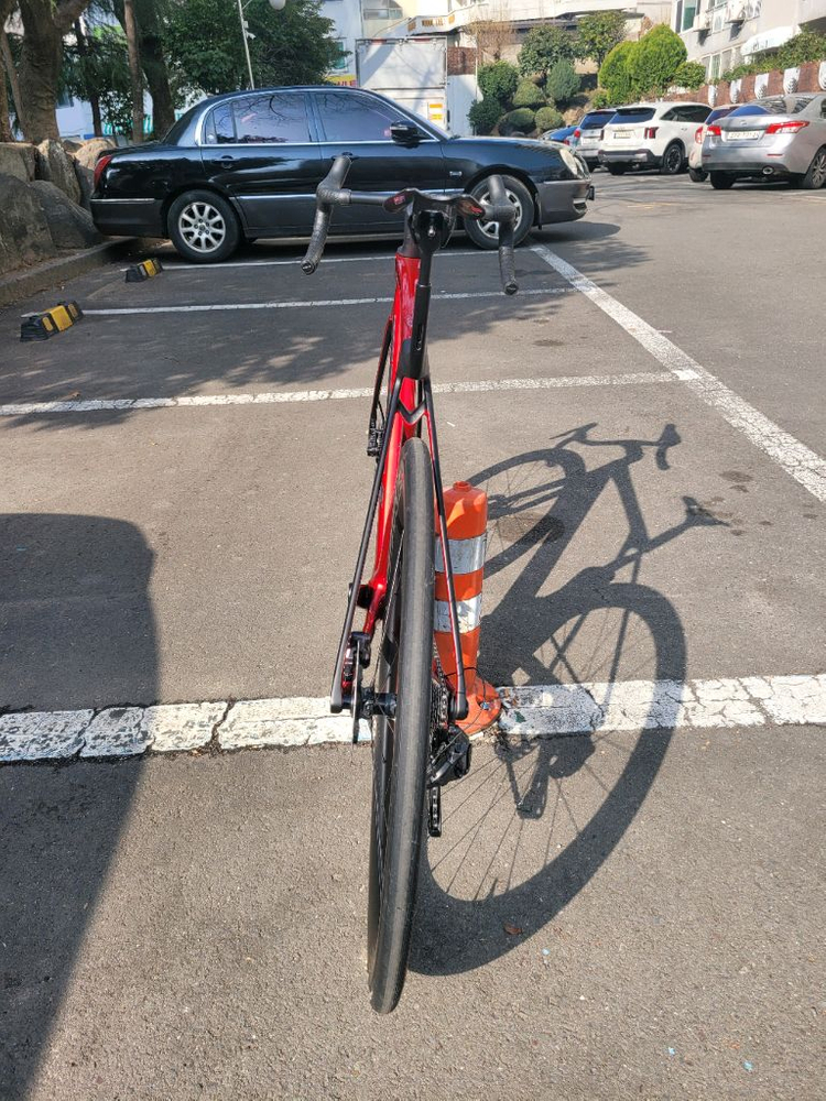 트렉 마돈sl7 8세대2026년형 전남광주 이미지