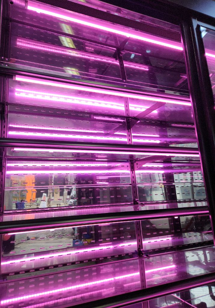 그랜드우성1500 빙온 정육,장어,정육숙성쇼케이스,육류냉장쇼케이스 이미지