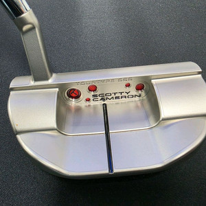 스카티카메론 써클티 패스트백 1.5 34인치 팝니다 이미지