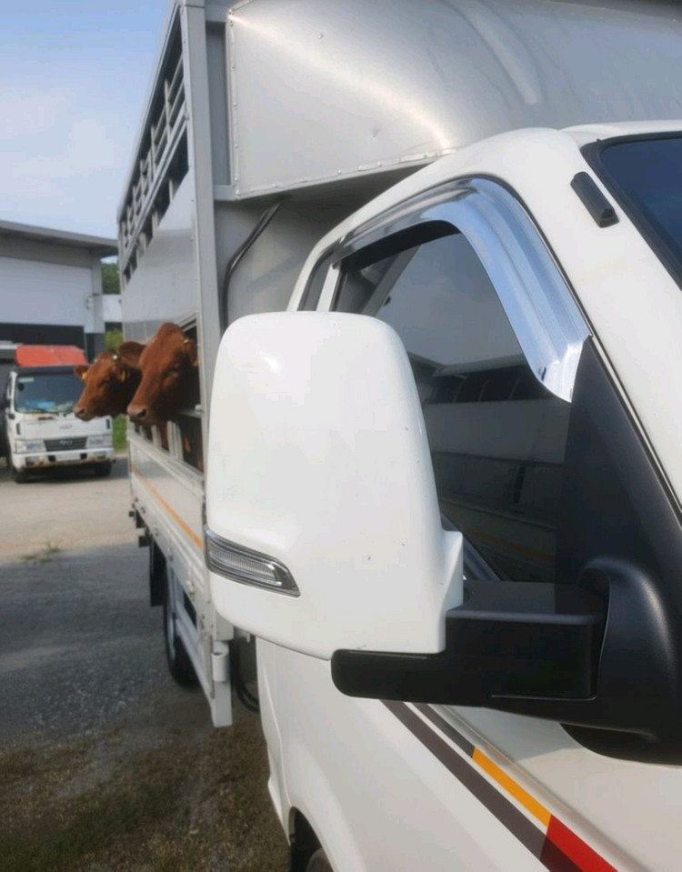 가축운반차 봉고3 포터2 백미러연장 사각지대 해결 이미지