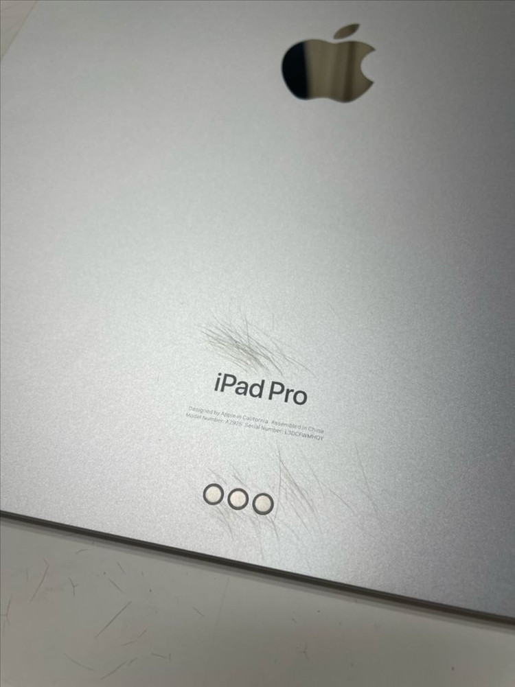 아이패드 프로 M4 13인치 512GB WiFi 실버 이미지