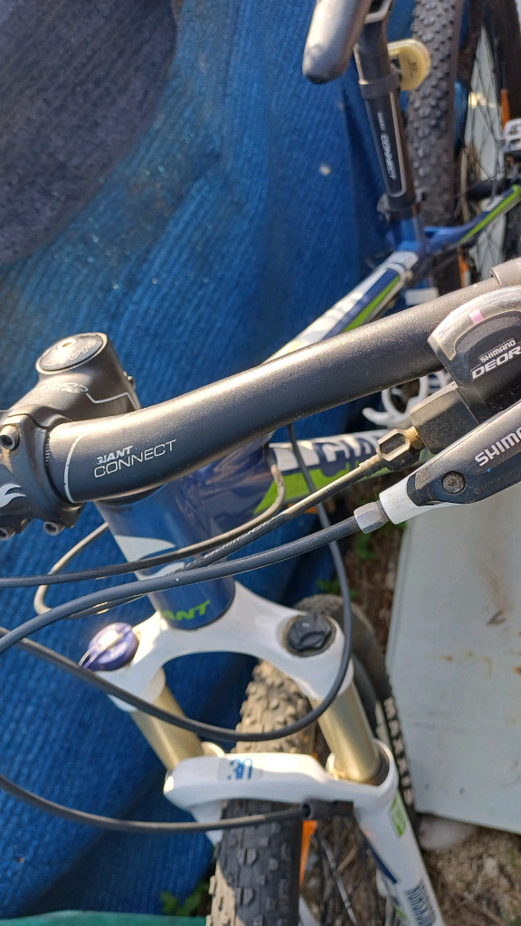 자이언트 타론 MTB 자전거 (여성용) 이미지