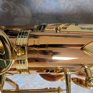 야나기사와 w02 알토 색소폰 팝니다 이미지