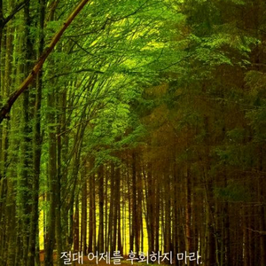 피망 뉴맞고 머니 삽니다 이미지