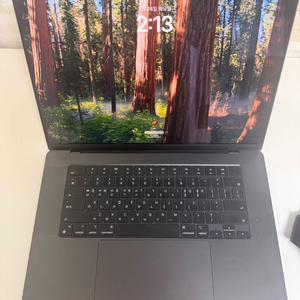 맥북 프로 PRO 16 M4맥스 MAX 16코어 CPU, 40코어 GPU 램64GB, SSD 1TB 이미지