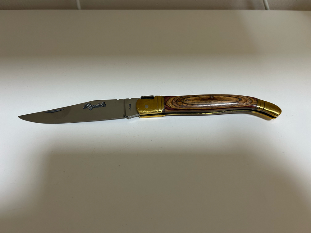 빈티지 프랑스 라귀올 캠핑카 이미지