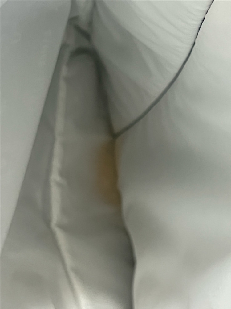잔스포츠 백팩 이미지