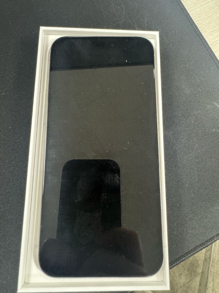 아이폰 15 프로맥스 화이트티타늄 256GB 이미지