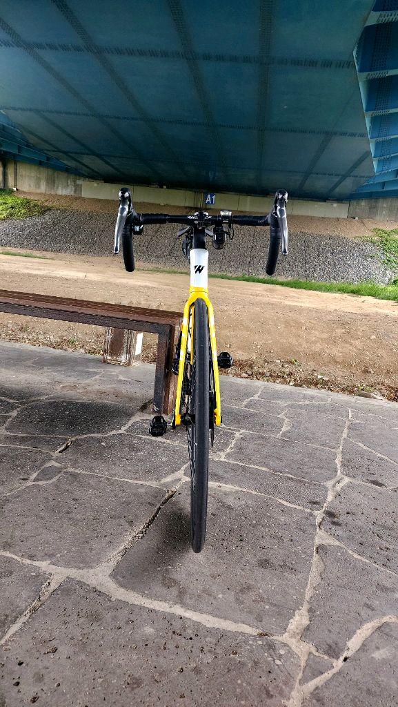 휠러 칠리 로드자전거 이미지