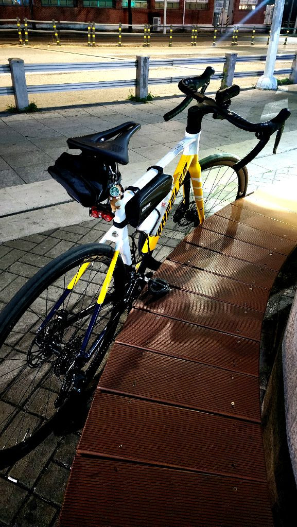 휠러 칠리 로드자전거 이미지