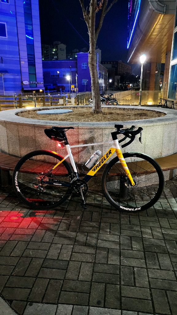 휠러 칠리 로드자전거 이미지