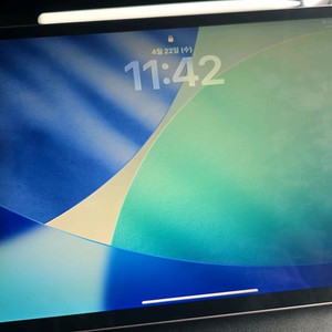 아이패드 프로 3세대 11인치 64bg 셀룰러 이미지