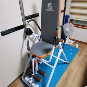 조이 스포츠 TITAN 의자식 거꾸리 이미지