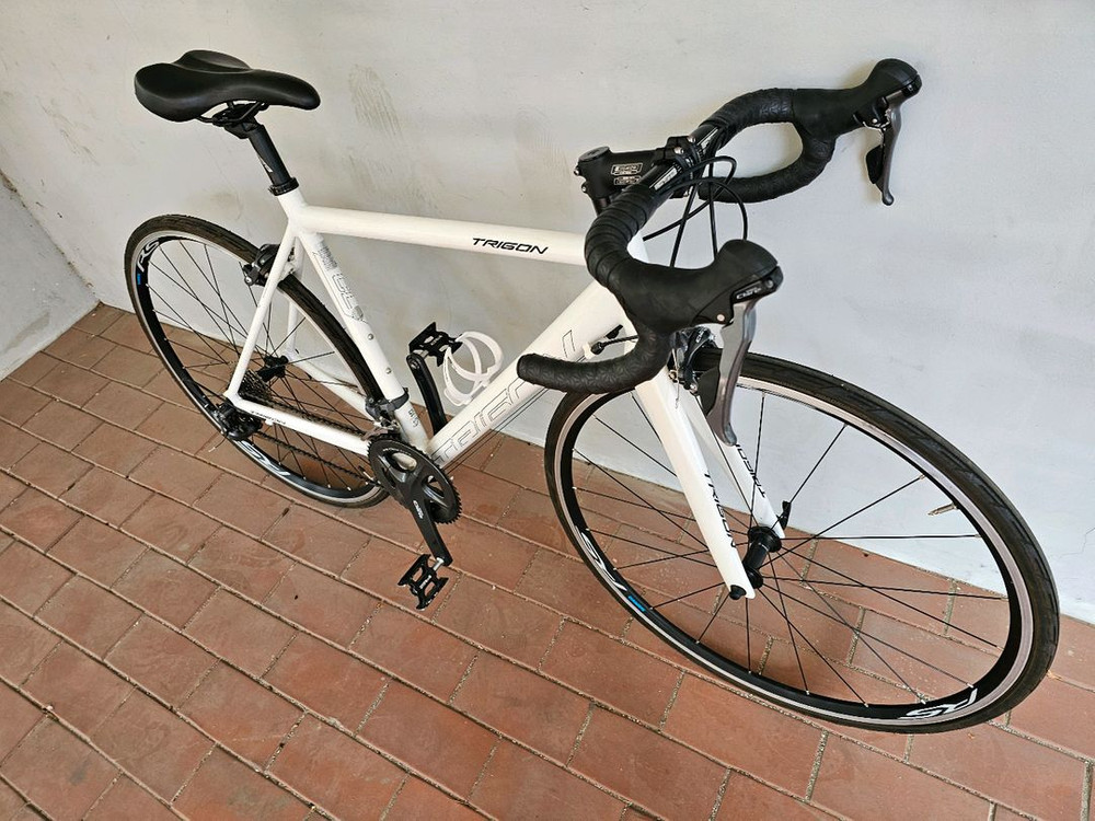 2020 트리곤 페인킬러 CL 시마노 R2000 클라리스 16단 로드자전거 52사이즈 이미지