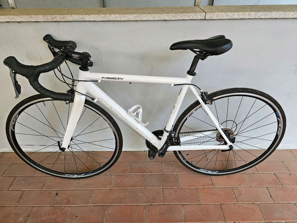 2020 트리곤 페인킬러 CL 시마노 R2000 클라리스 16단 로드자전거 52사이즈 이미지