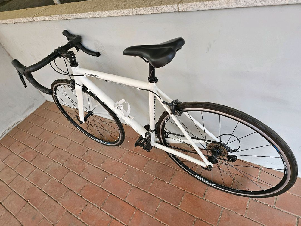 2020 트리곤 페인킬러 CL 시마노 R2000 클라리스 16단 로드자전거 52사이즈 이미지