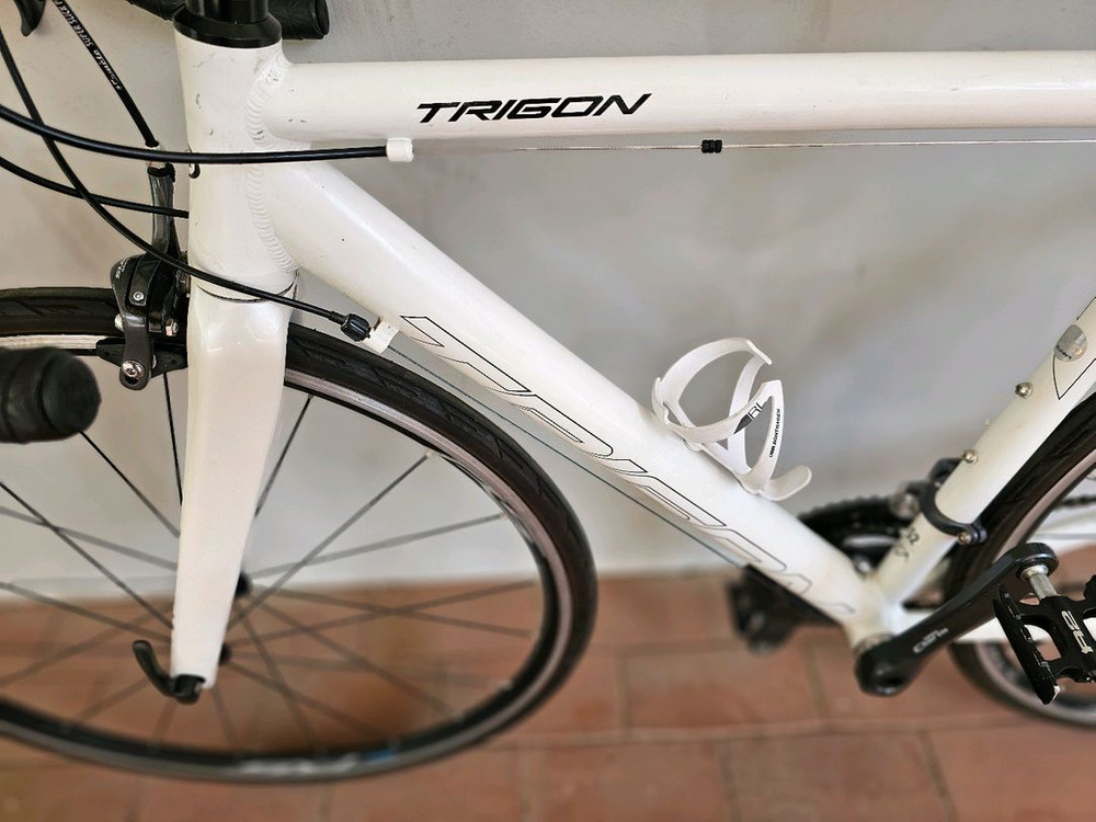 2020 트리곤 페인킬러 CL 시마노 R2000 클라리스 16단 로드자전거 52사이즈 이미지