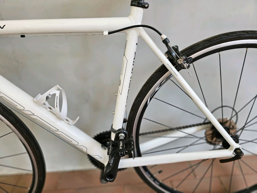 2020 트리곤 페인킬러 CL 시마노 R2000 클라리스 16단 로드자전거 52사이즈 이미지