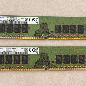 삼성 DDR4 16GB 2666V 메모리 2개 이미지